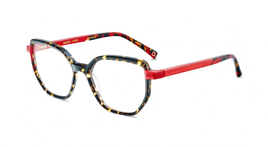 Etnia Barcelona DAKOTA Eyeglasses - view 4